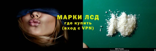 ПСИЛОЦИБИНОВЫЕ ГРИБЫ Баксан