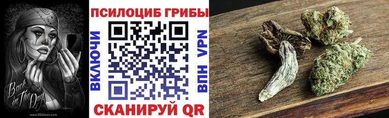 Псилоцибиновые грибы Cubensis  MEGA онион  Губкинский  купить наркотики цена 