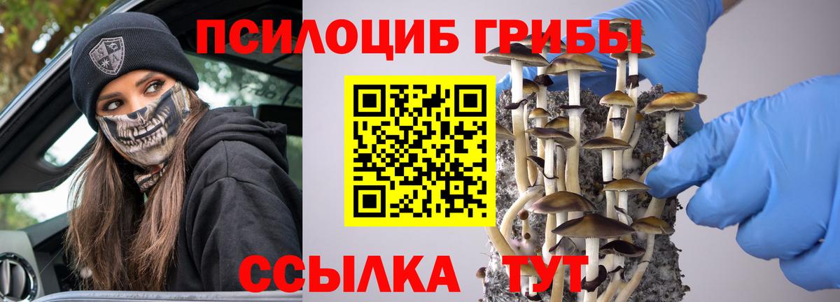 Галлюциногенные грибы MAGIC MUSHROOMS Губкинский